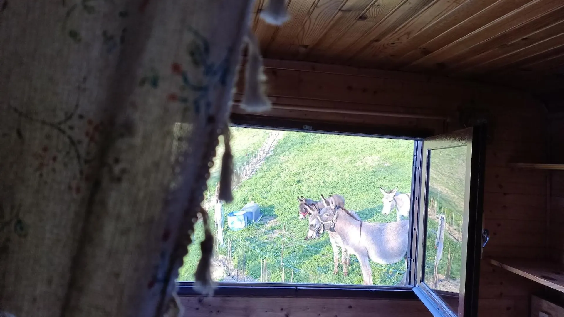 Hotel Roulotte Champetre A La Ferme Rochefort-Sanson 0*,